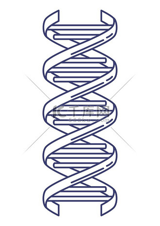 dna 模型的插图.