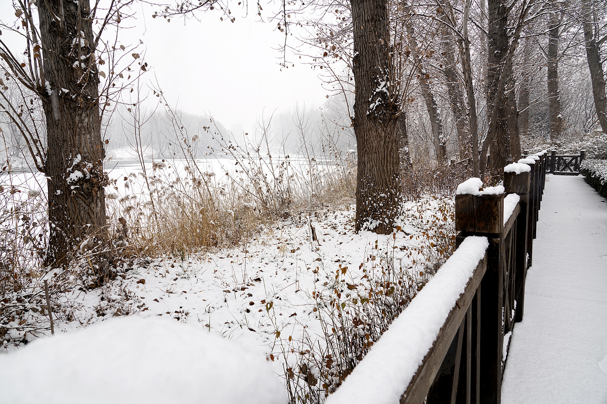 雪后湖边的木栈道图片