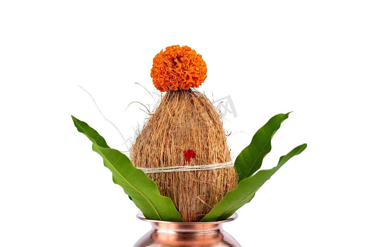 带椰子和芒果叶的铜卡拉什，白色背景上有花卉装饰。图片