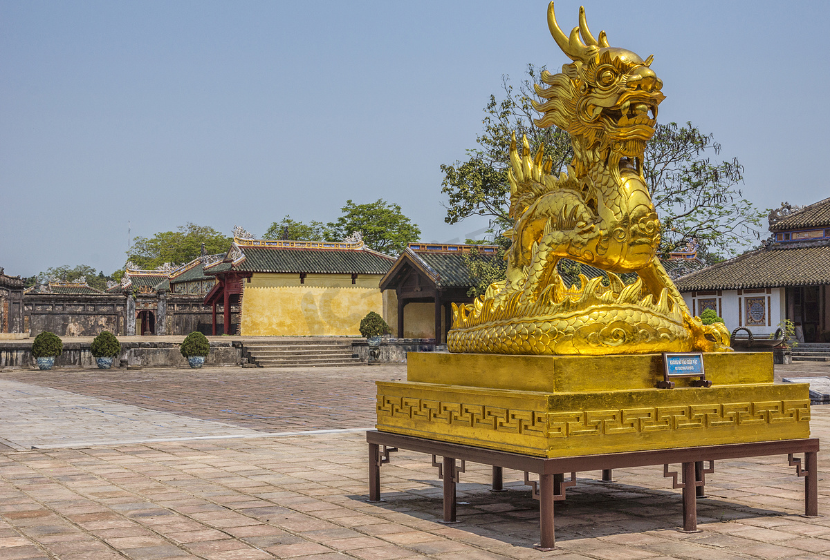 越南顺化城堡：F院落的金狮龙蛇图片