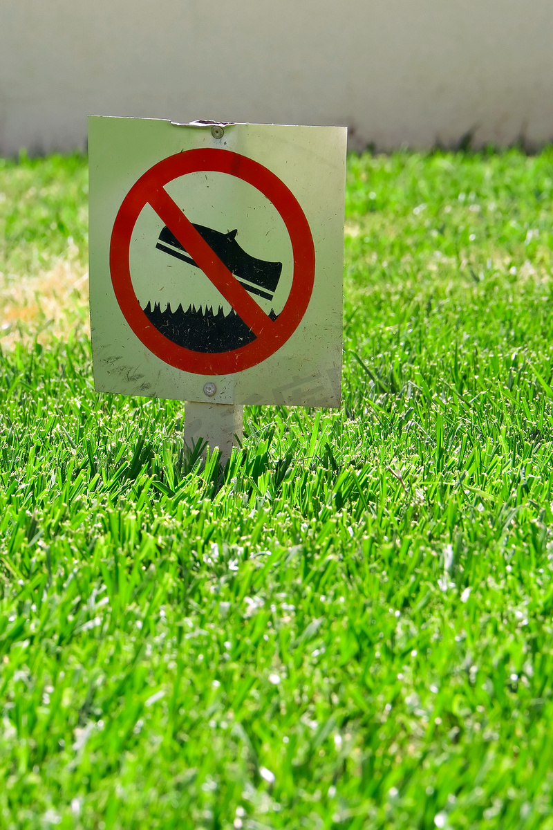 不要踩踏草坪图片
