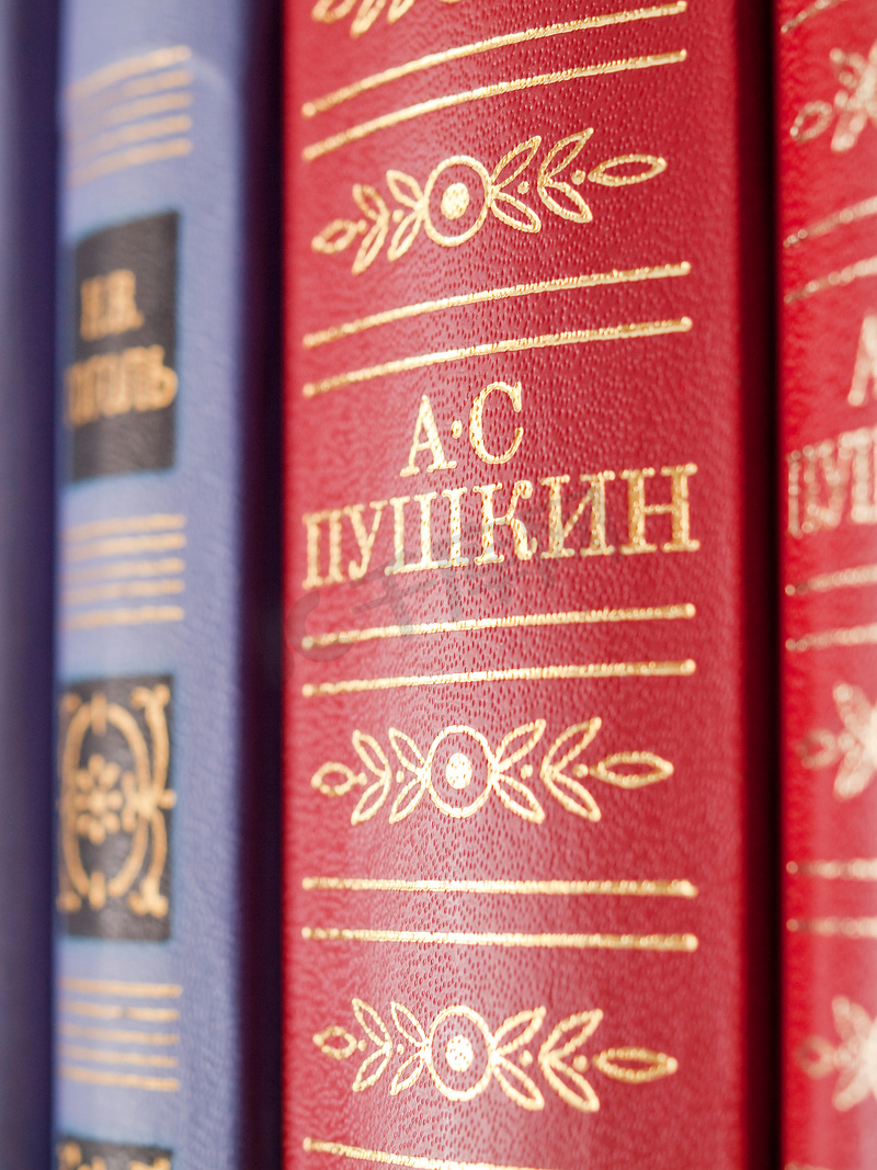 亚历山大普希金的书 - 俄罗斯古典诗人图片