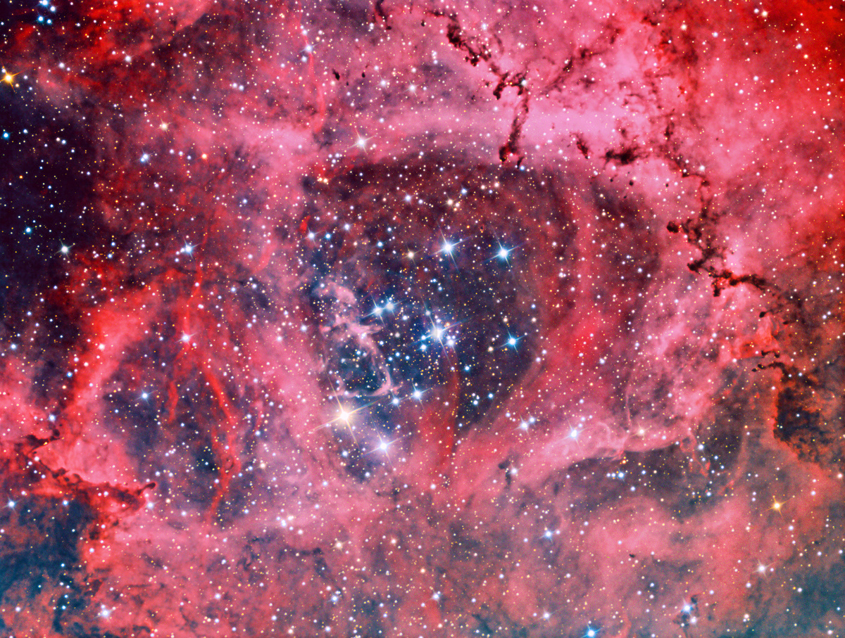麒麟座 NGC2244 中的玫瑰星云图片