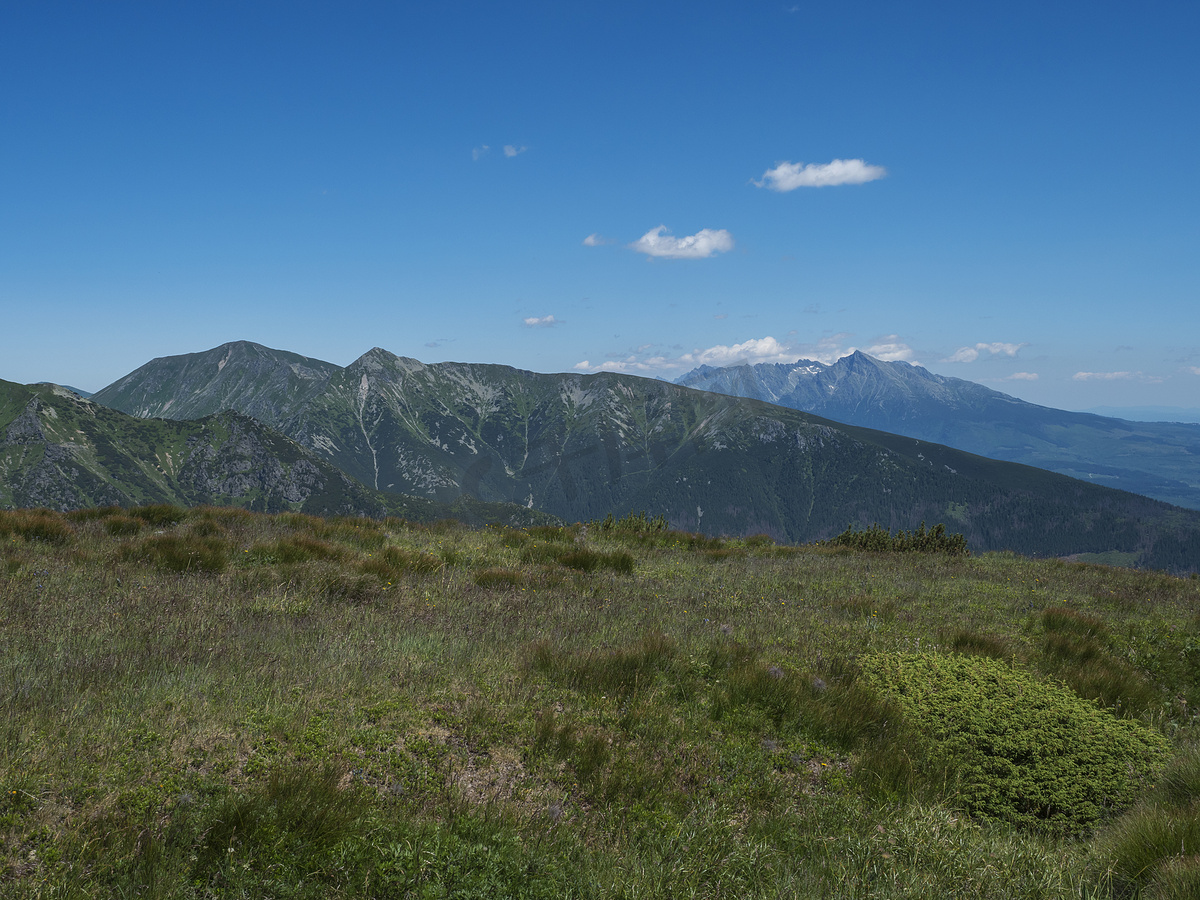 西塔特拉山脉或 Rohace 的美丽山景，山脊上有远足小径。图片