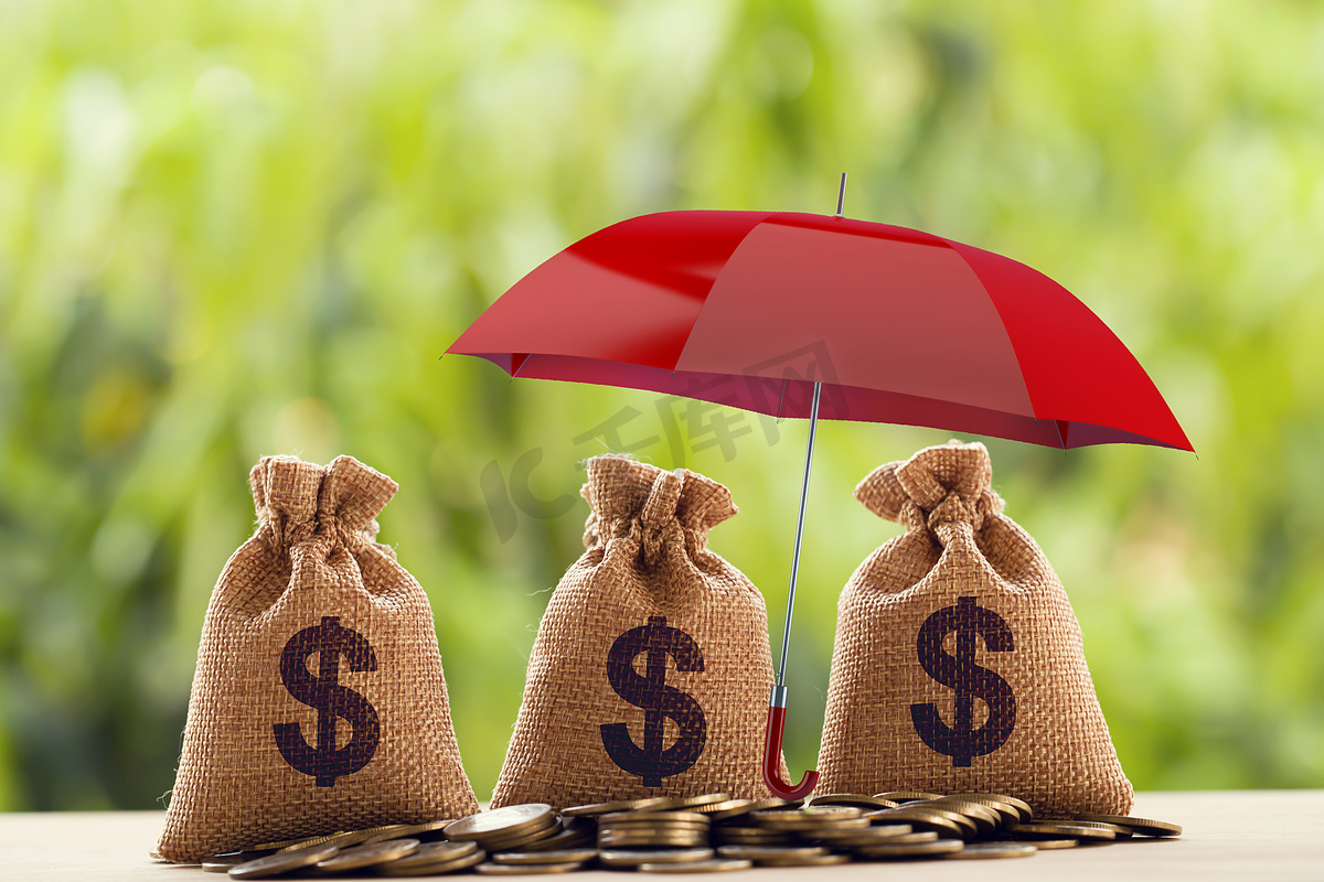 风险保护、财富管理和长期货币投资、金融概念：在红伞下安排硬币和美元袋。图片