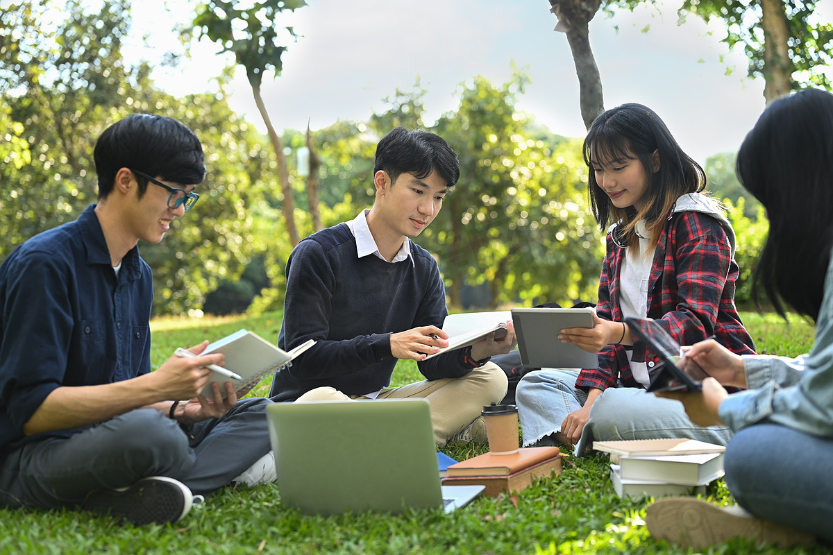 一群朋友，大学生读书，准备在校园绿草坪上考试图片