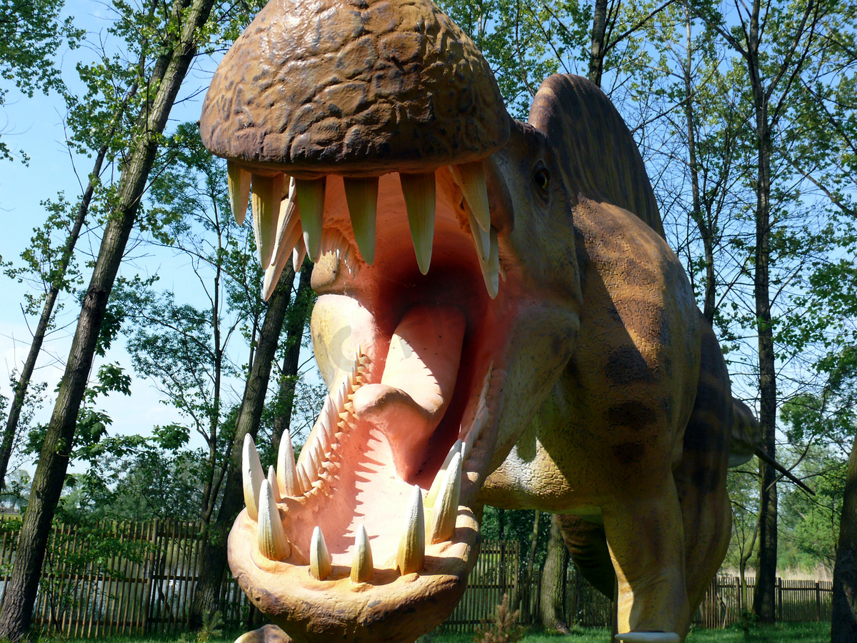 好斗的恐龙的下颚和牙齿关系密切。图片