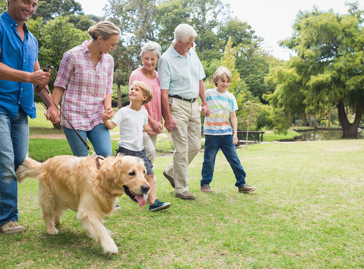幸福的家庭和他们的狗在公园里图片