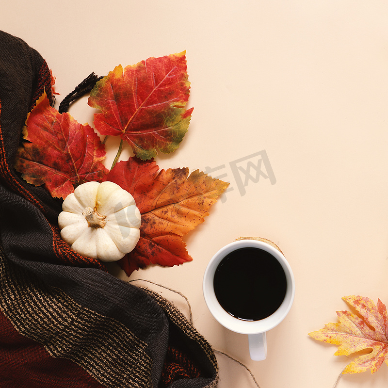 秋天和感恩节的扁平风格，配上南瓜、咖啡，图片