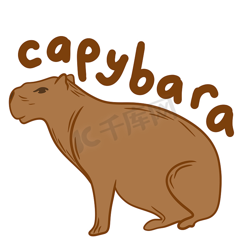 手绘插图可爱的水豚动物在白色背景上的米色棕色。图片