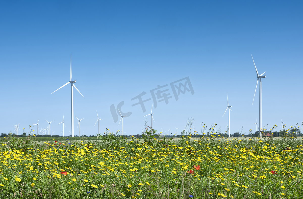蓝天下的红黄夏花和风力涡轮机图片