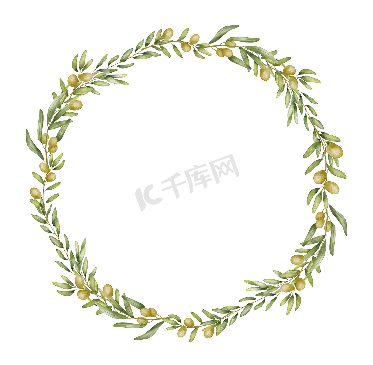 圆形花环与橄榄枝水彩画。图片