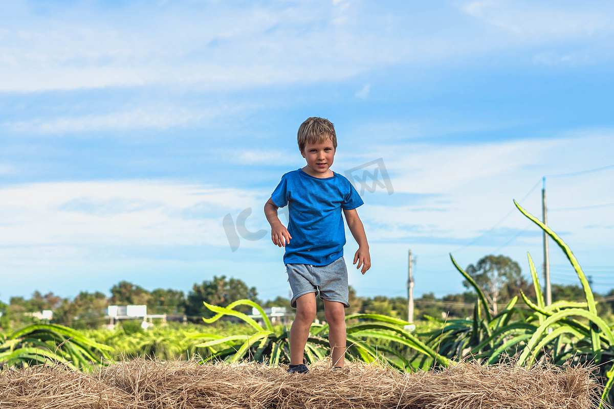 前视图男孩站在干草堆上捆干草，想要准备跳跃。图片