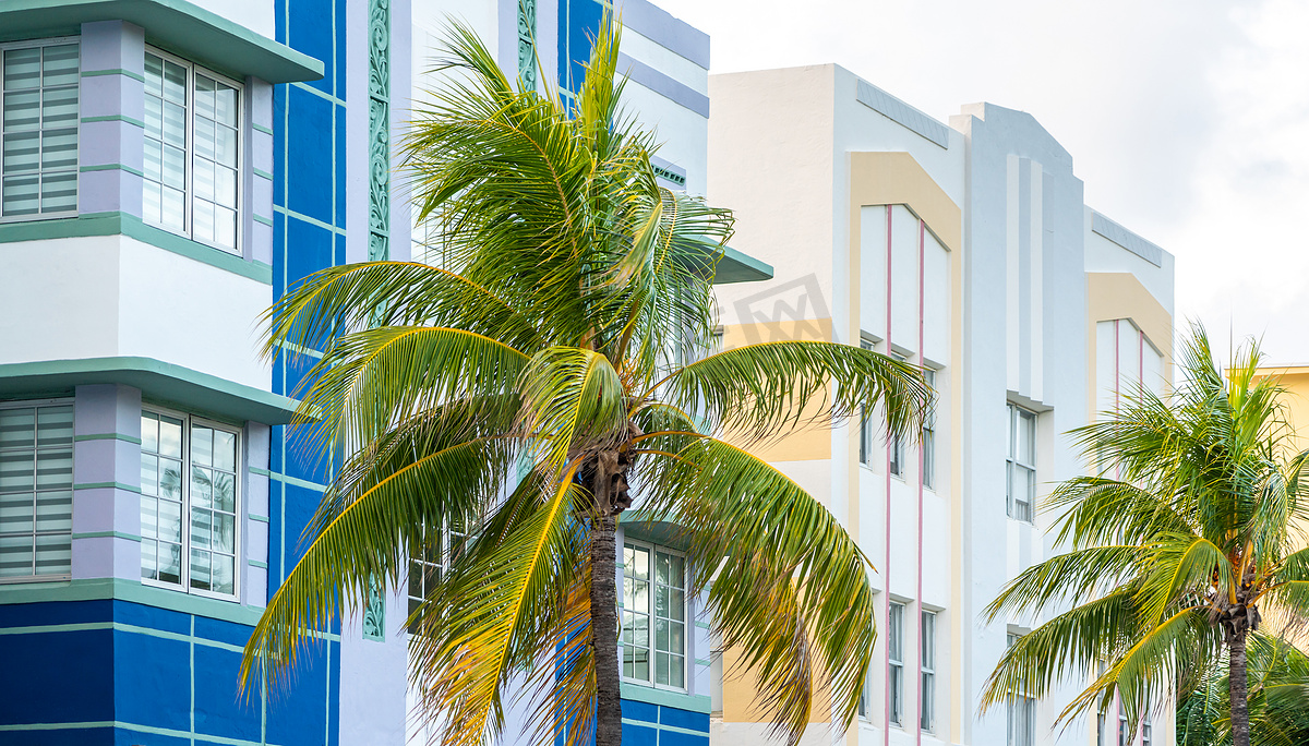 美国佛罗里达州迈阿密南海滩海洋大道上典型的色彩缤纷的装饰艺术建筑与热带棕榈树的特写图片