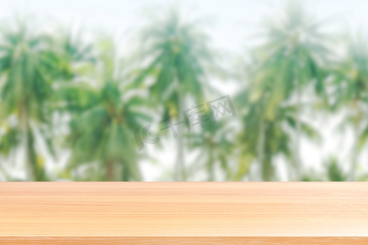 椰子树上的木板行背景模糊，椰子树上的空木桌地板图片模糊，木桌板空前背景椰子种植园自然用于模拟展示产品图片