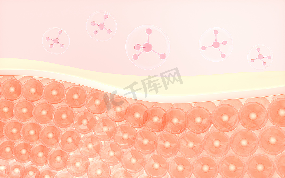 皮肤细胞和分子结构3D渲染。图片