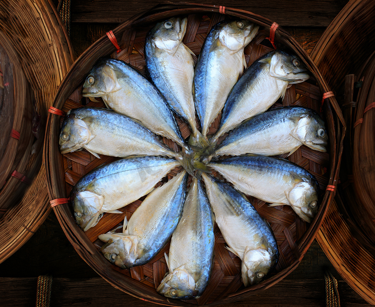 泰国海湾鲭鱼煮煮即食预售图片