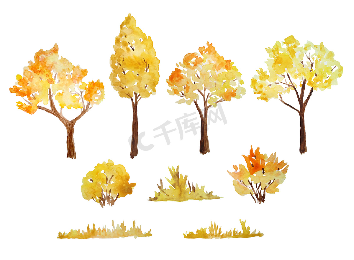 森林林地公园秋树灌木草的水彩手绘插图。图片