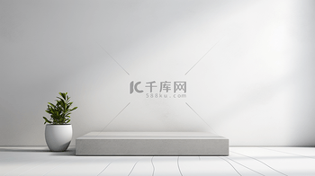 在模糊的背景摄影棚里有一面带有墙影的植物叶子抽象灰色水泥模型