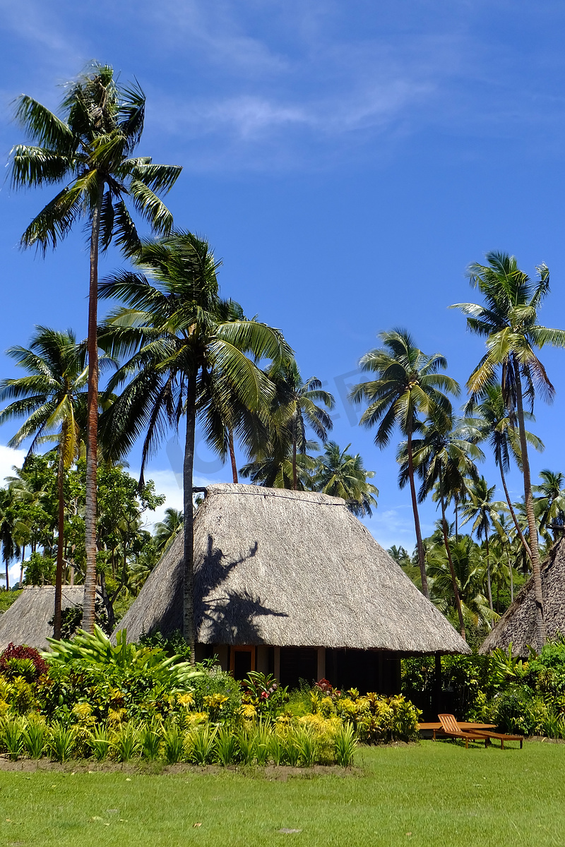 有茅草屋顶的传统草屋，瓦努阿岛，斐济图片