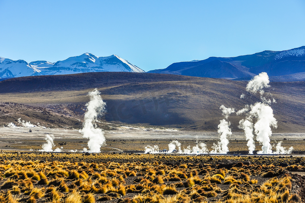 在智利阿塔卡马沙漠的质油源间歇泉图片