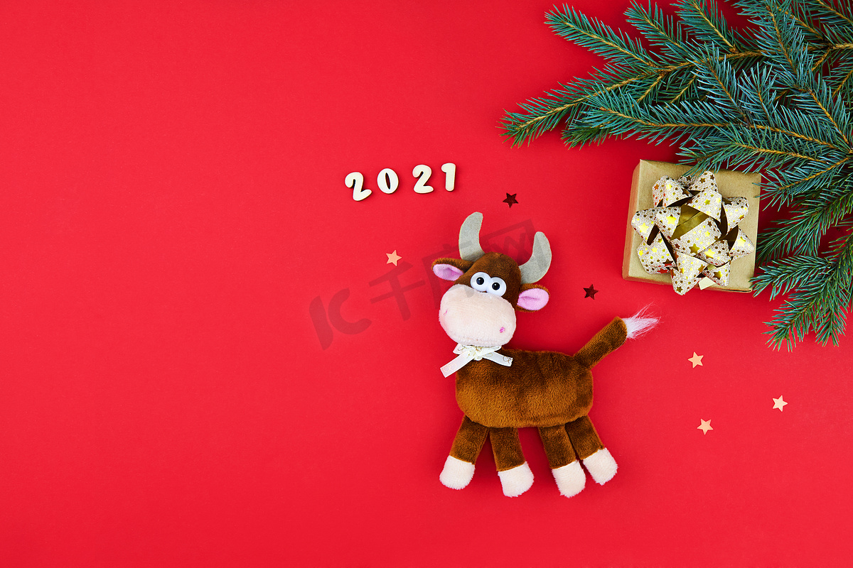 公牛是2021年新年的象征。红色节日背景上的毛绒玩具，有冷杉枝条和礼物。中国农历2021年牛年.图片