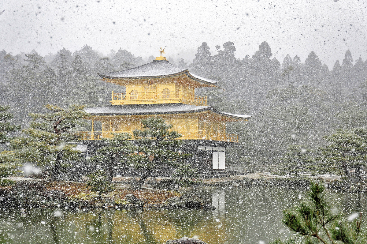 日本京都-2014 年 3 月 10 日: 旧日本金色城堡，在冬季雪的金阁寺.图片