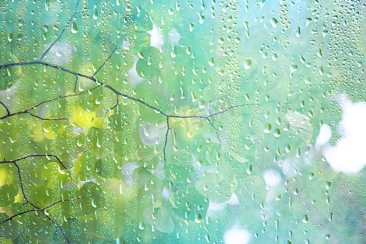 夏季雨湿玻璃/抽象背景景观在雨天窗外模糊背景图片