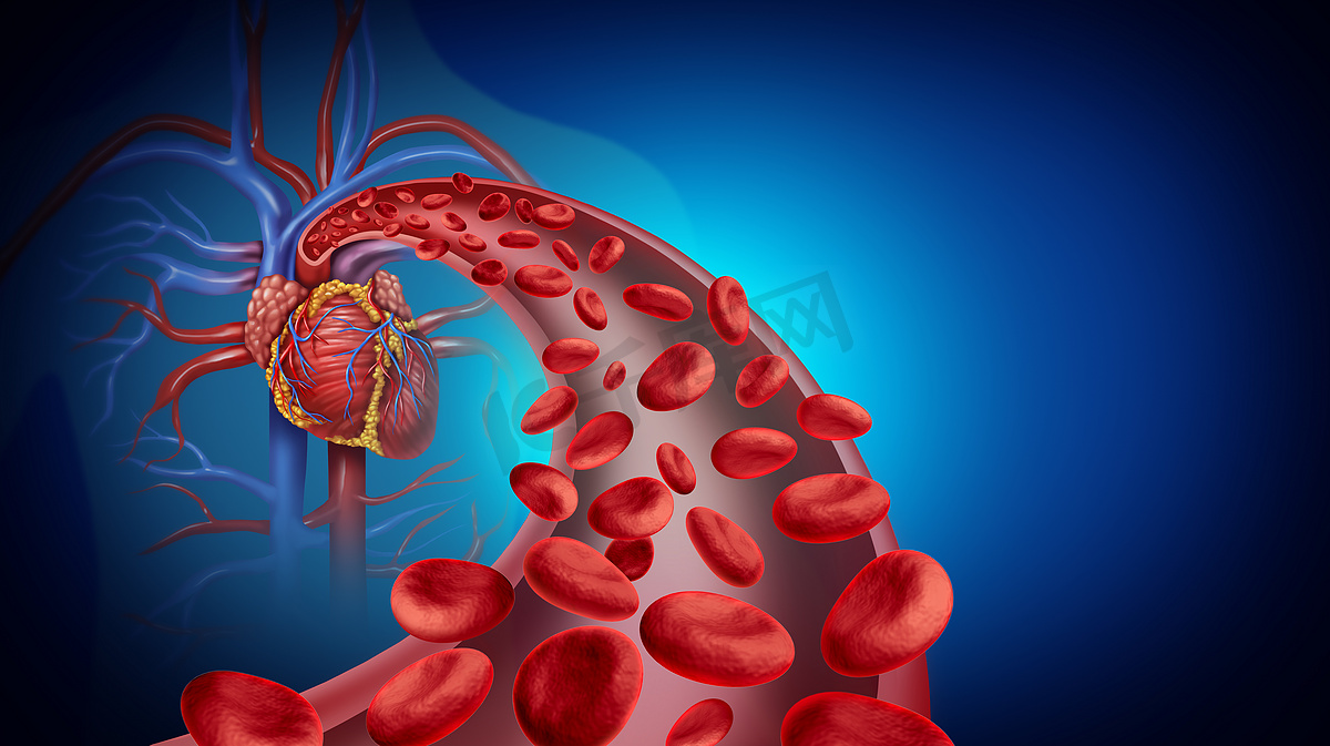 心脏血液循环和心血管系统健康标志，红血球流经人类循环系统的血管，作为心脏学的标志，带有三维图解元素.图片