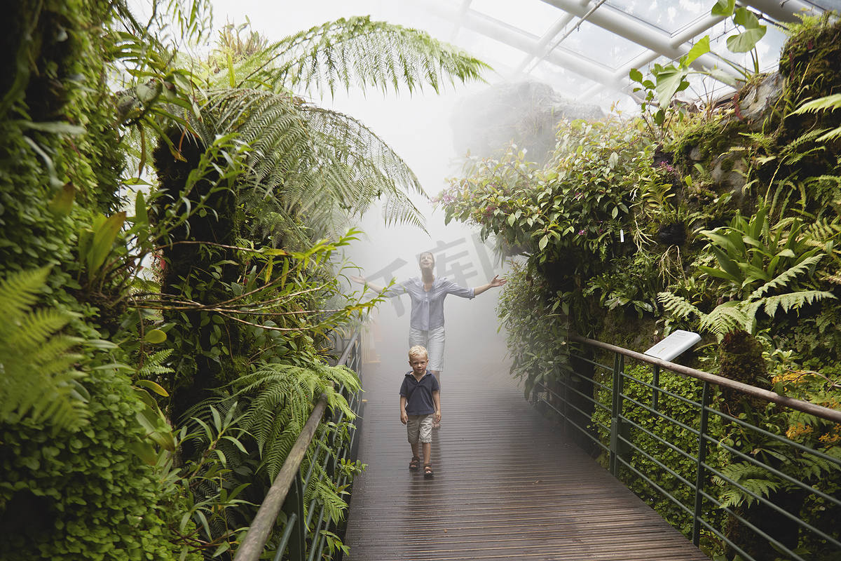 新加坡植物园潮湿的热带温室里的男孩和母亲图片