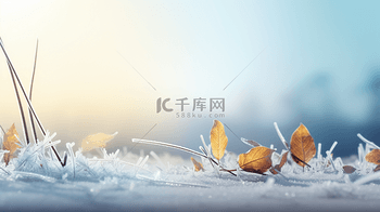 现代感冬季霜降唯美摄影背景26