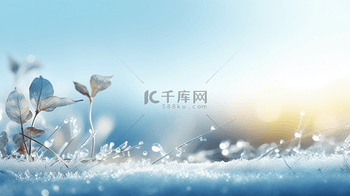 现代感冬季霜降唯美摄影背景29