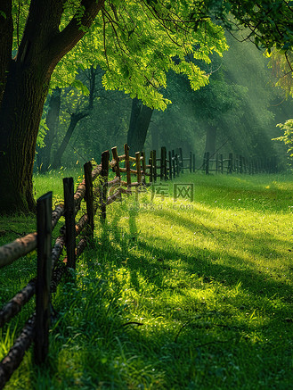 草地公园绿树成荫背景图