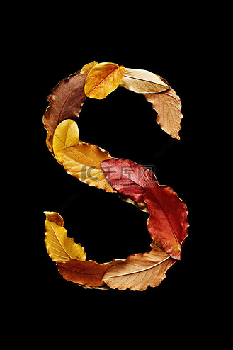 叶字母 s