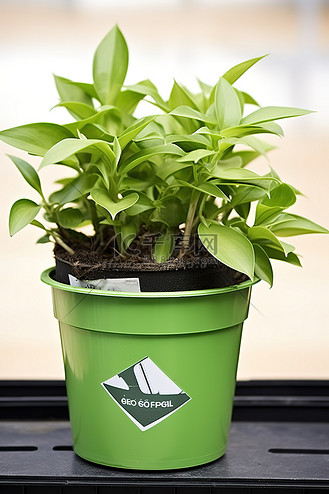 带有回收标签的绿色花盆