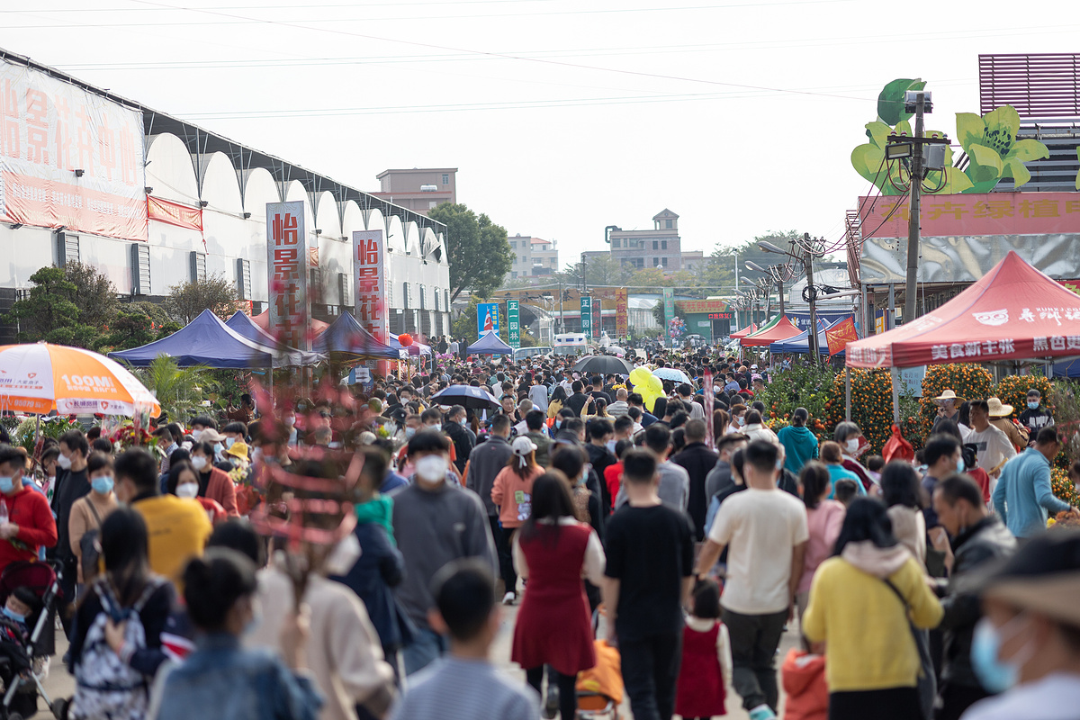 广州过年春节花街花市图片