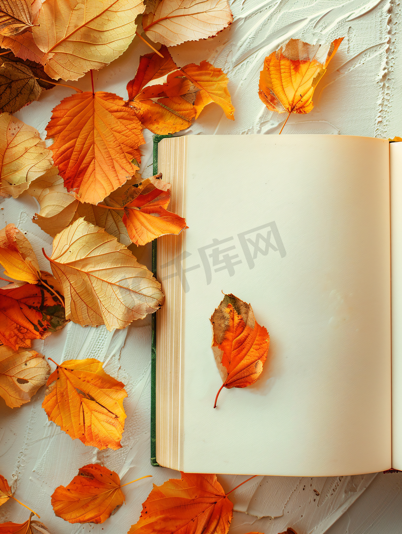 落叶和书摆件图片