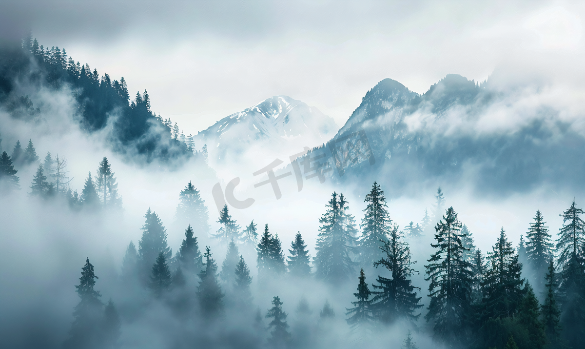云雾罩山林树木图片