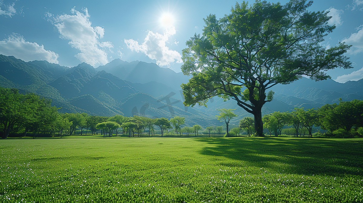 草地绿色的大树夏天高清摄影图图片
