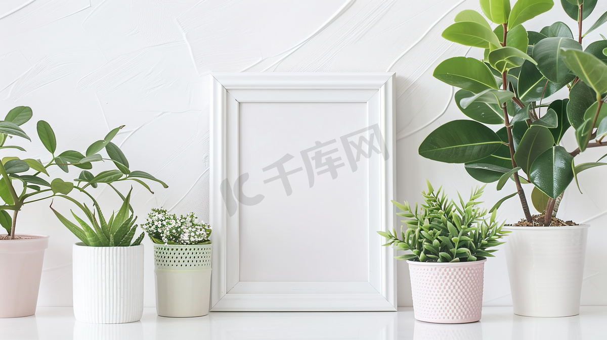 绿植盆栽装饰的木质展示框图片图片