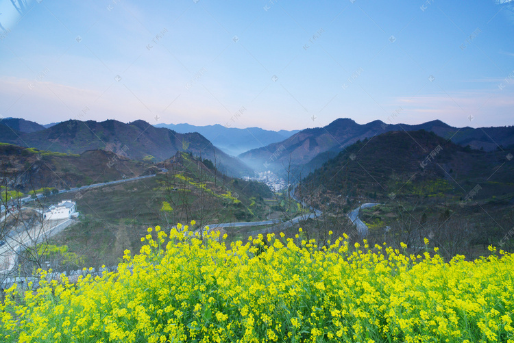 山脉和油菜花摄影图