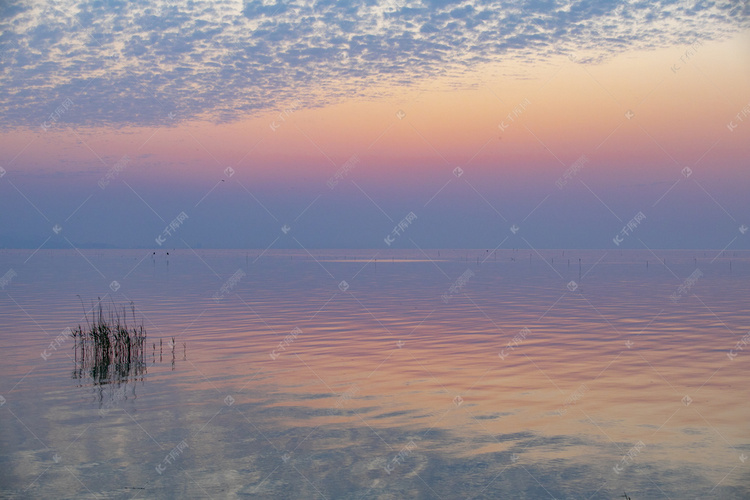 太湖朝霞摄影图