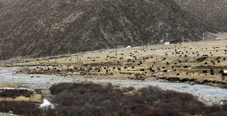 西藏山谷河谷摄影图