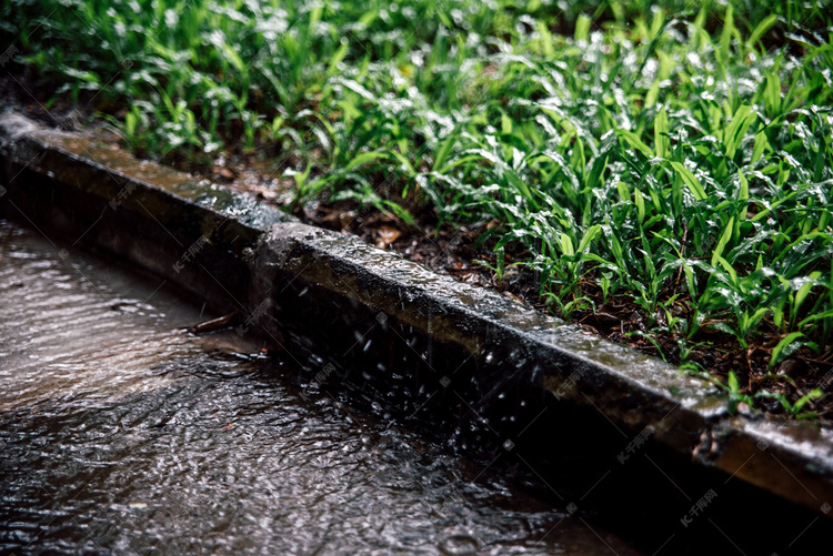 雨水淅淅沥沥植物摄影图