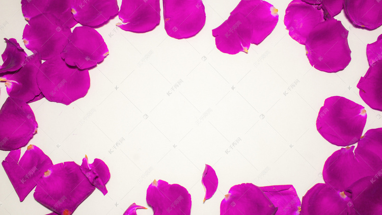 紫色的花瓣商用背景图摄影图