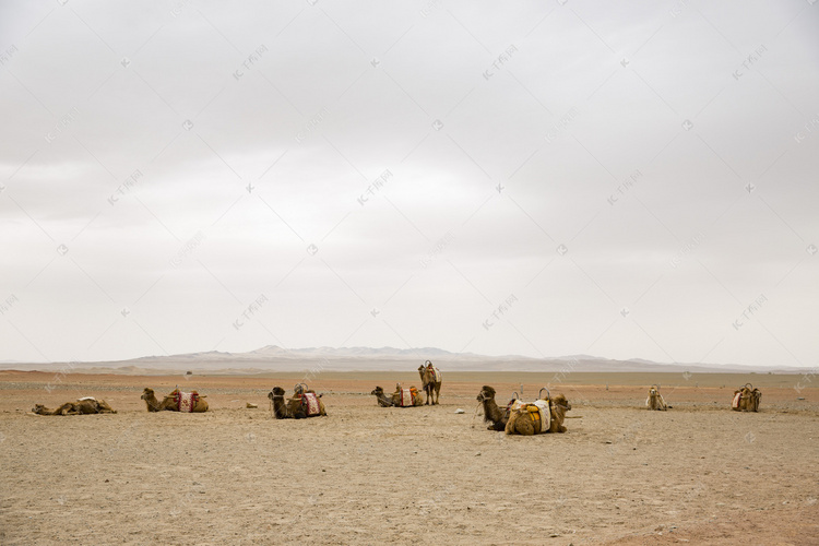 戈壁沙漠风景摄影图