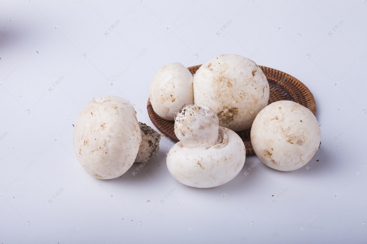  白色口蘑蘑菇摄影图