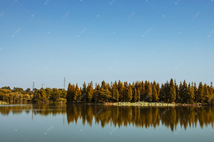 秋天湖边森林摄影图