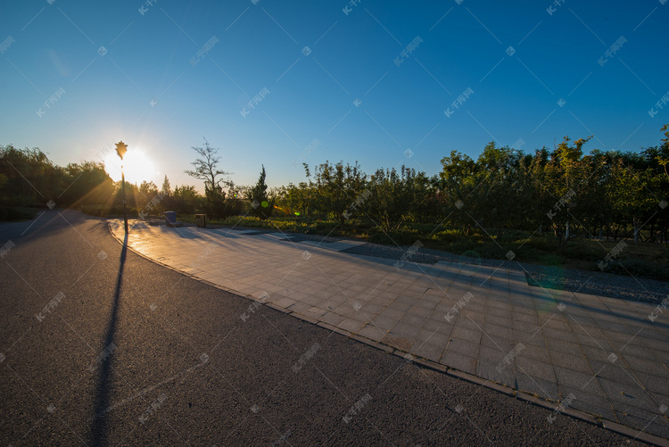 蓝天清晨暖阳公园影子被拉长摄影