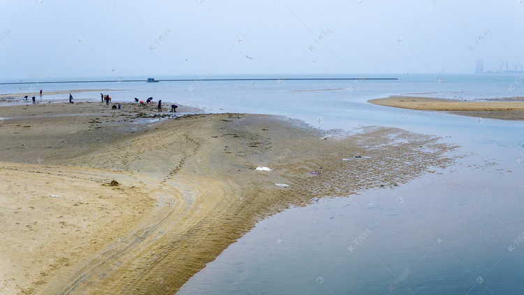 退潮后赶海的人群高清图片